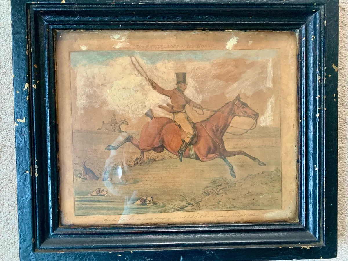 “The Seven Ages of the Horse" prints - Image 4