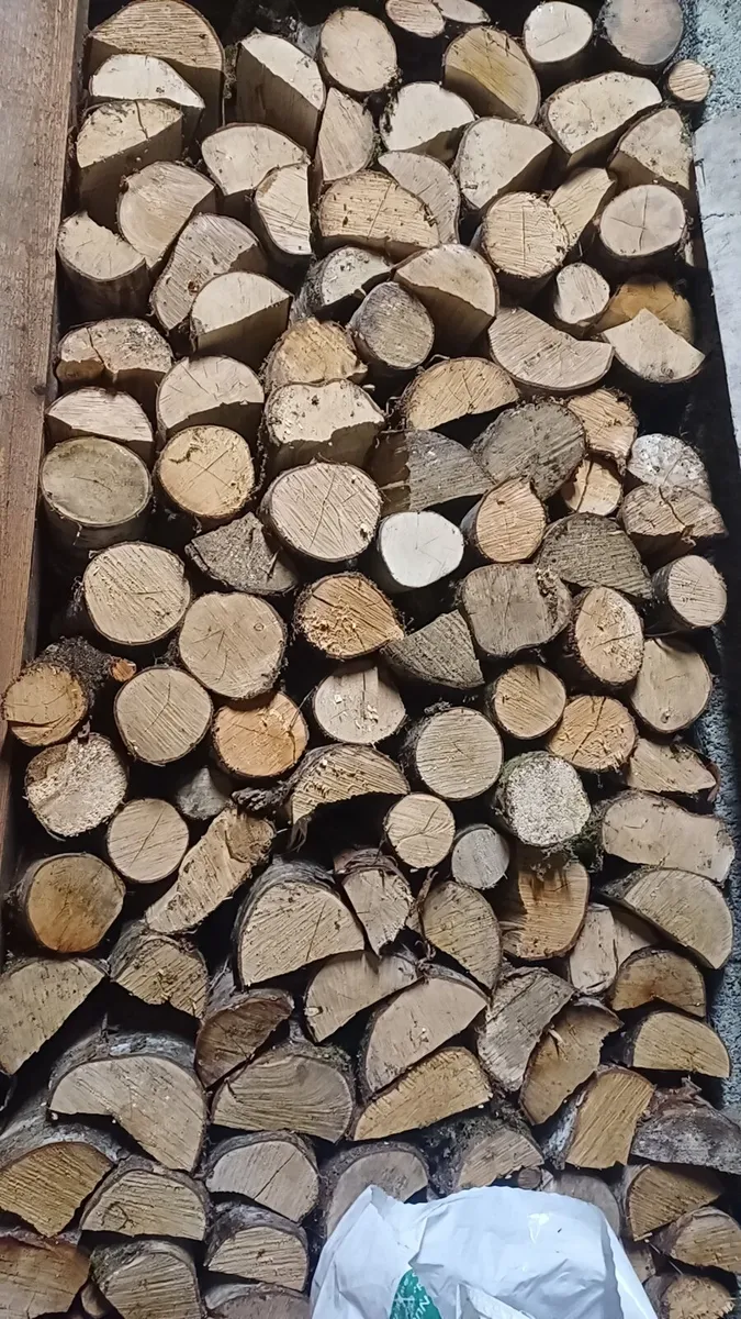 Firewood - Image 1