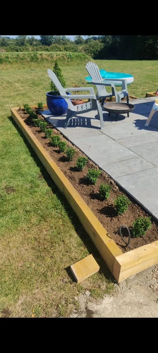 Box Hedging - Image 3