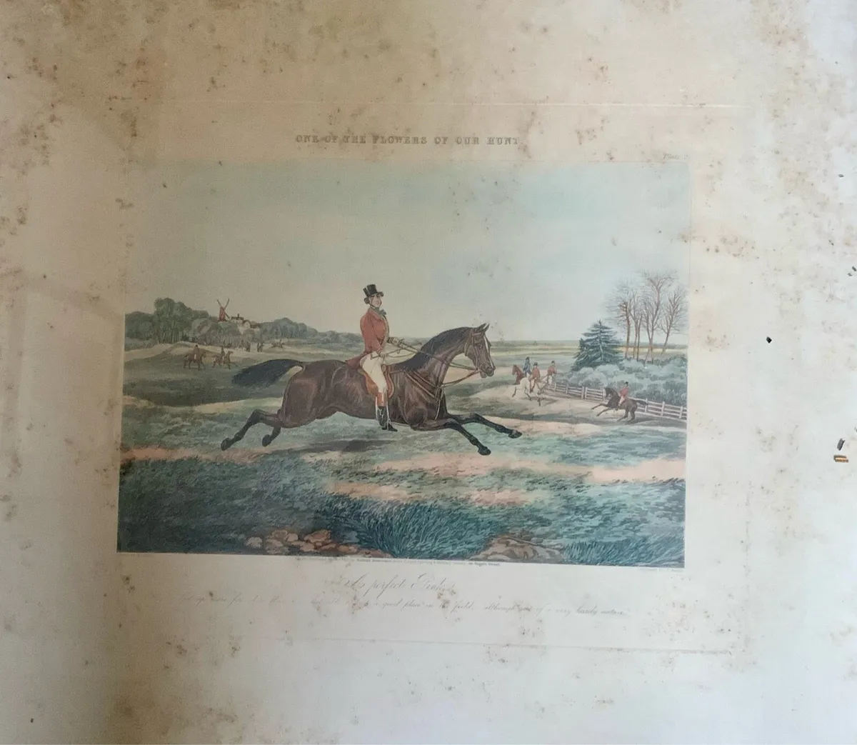 “One of the Flowers of Our Hunt” framed prints - Image 2