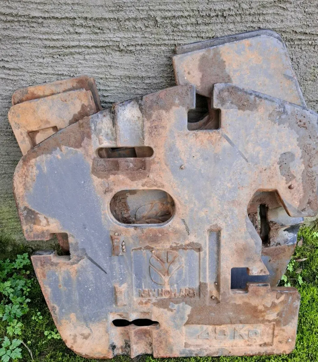 Weight carrier - Image 4