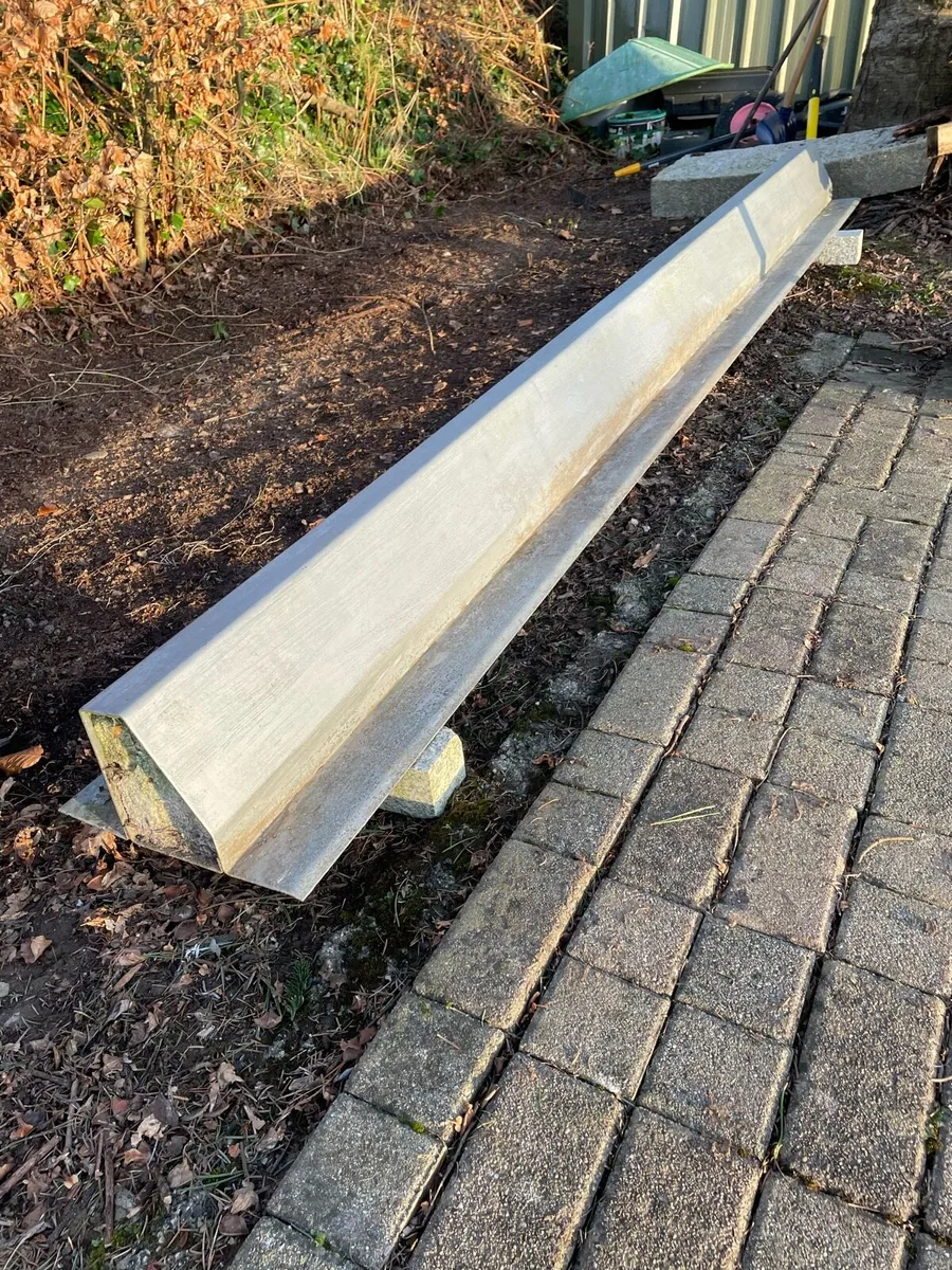 Catnic lentil - Image 1