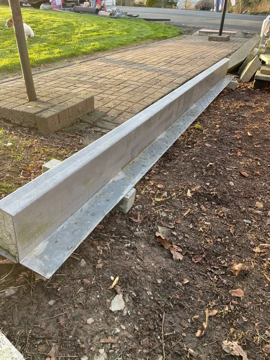 Catnic lentil - Image 2