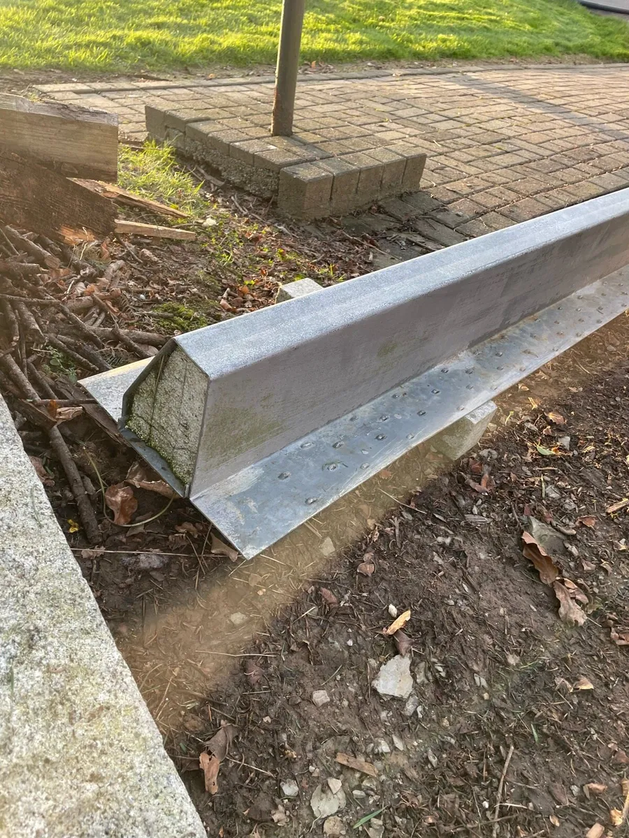 Catnic lentil - Image 4