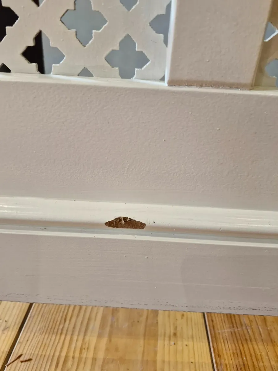 Radiator Cover - Image 4