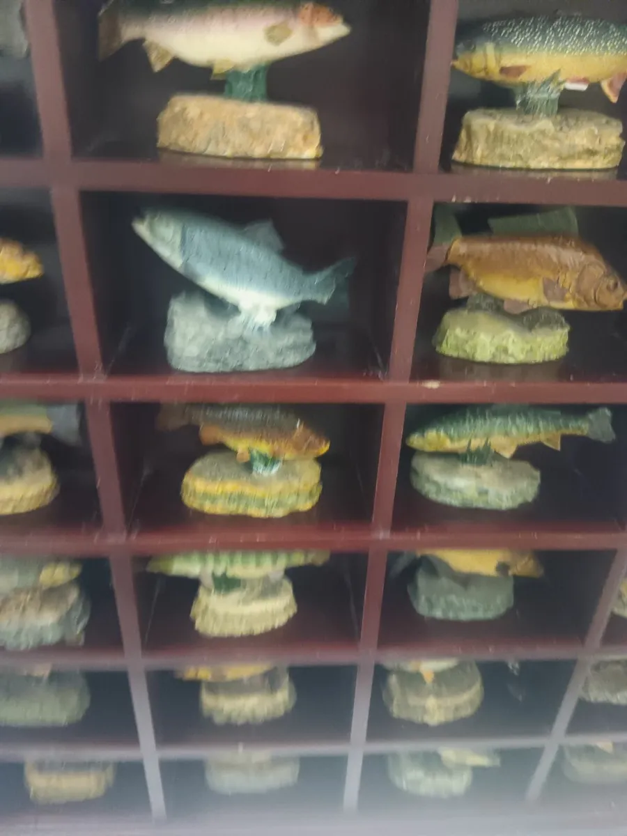 Angling showcase - Image 1