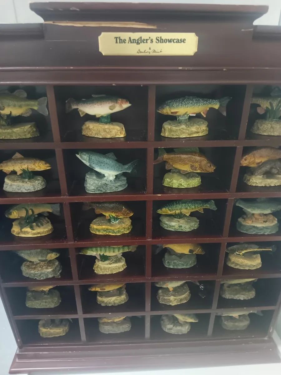 Angling showcase - Image 3