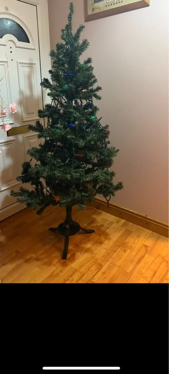 Christmas trees - Image 1