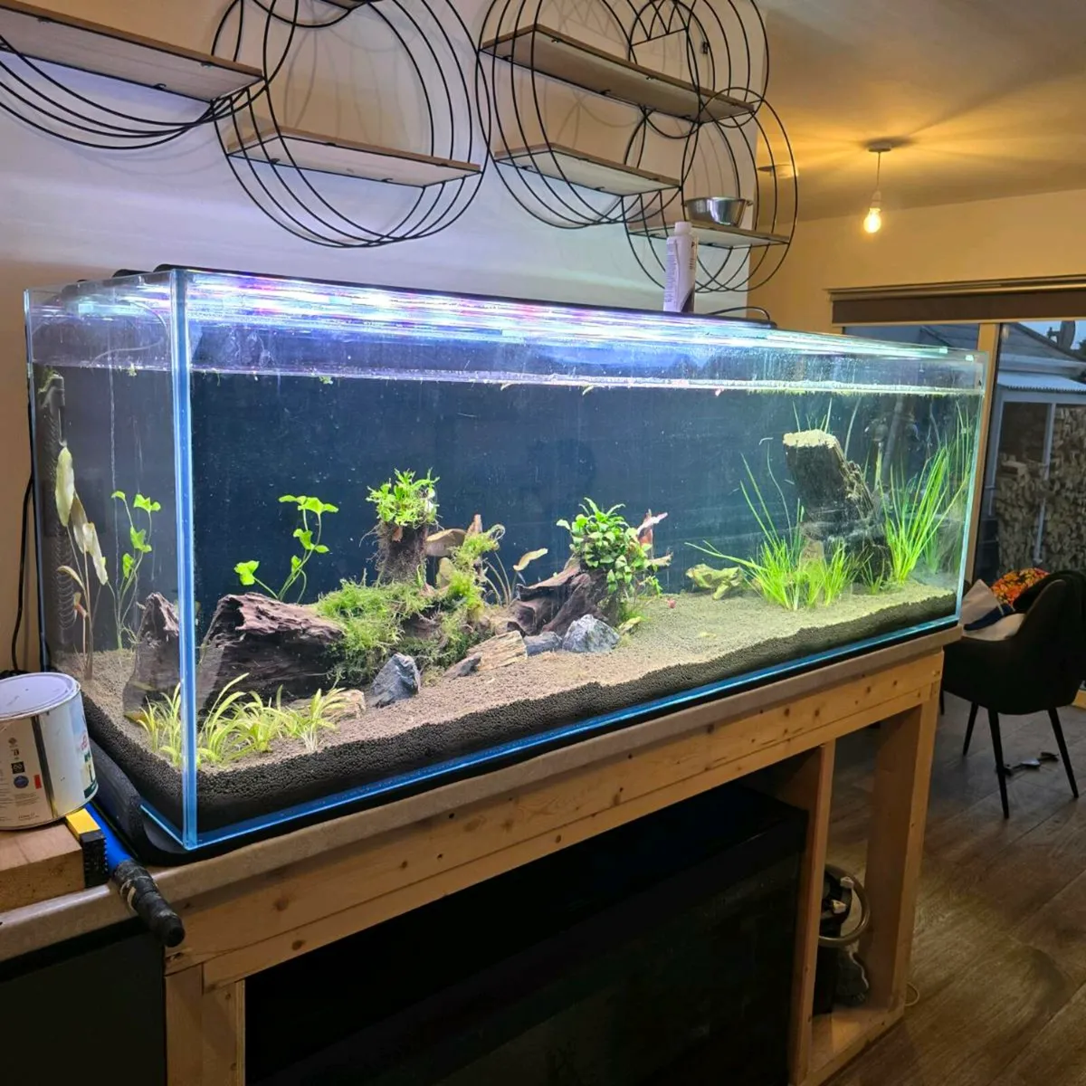 Fish tank - Image 4