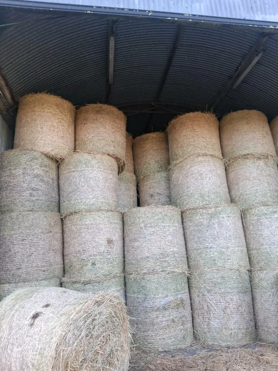 Straw/hay - Image 3