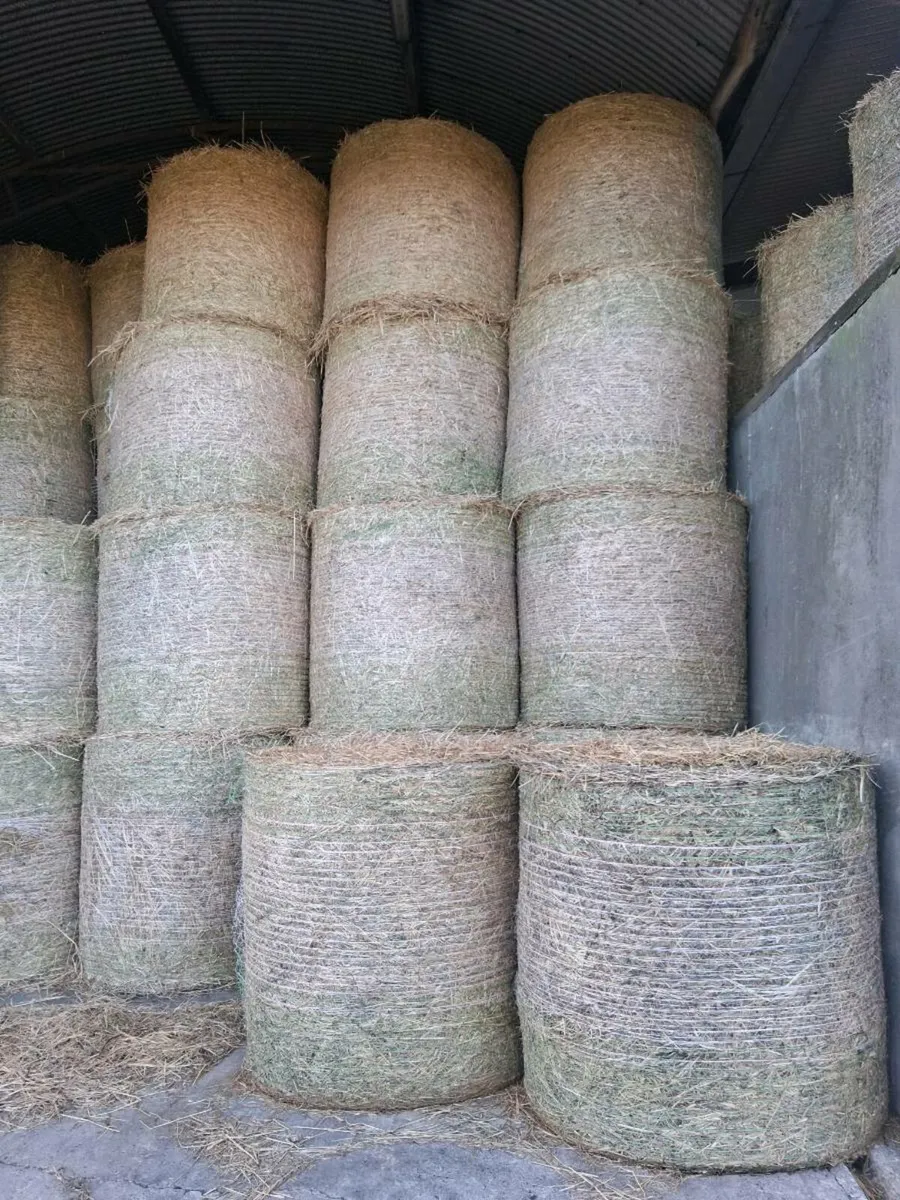 Straw/hay - Image 1