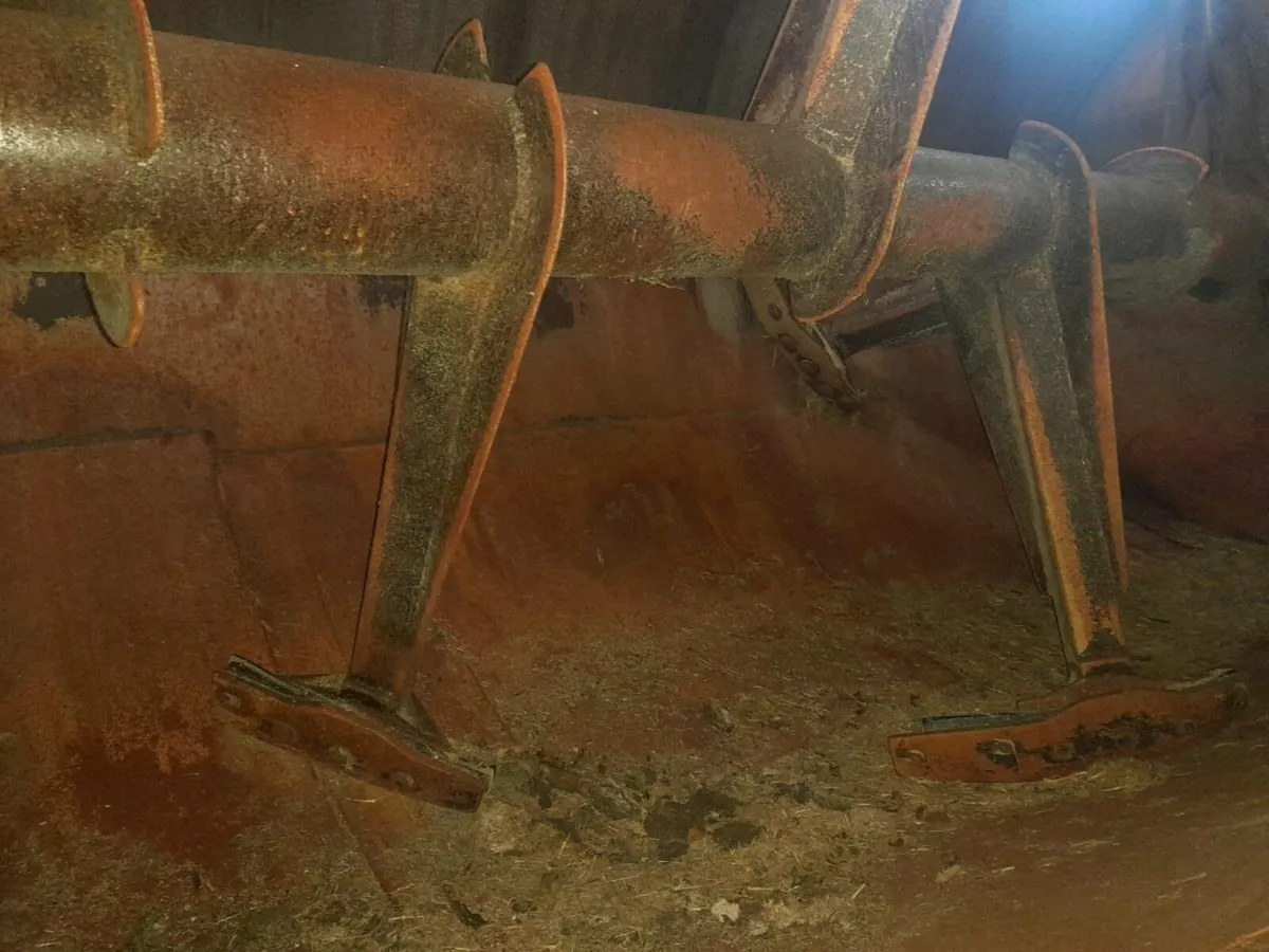 Abbey diet feeder - Image 4