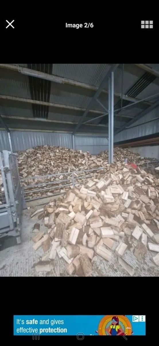 Firewood - Image 1