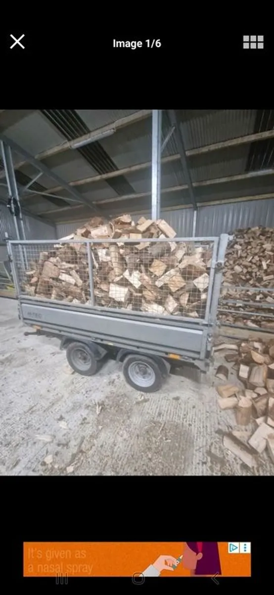 Firewood - Image 3