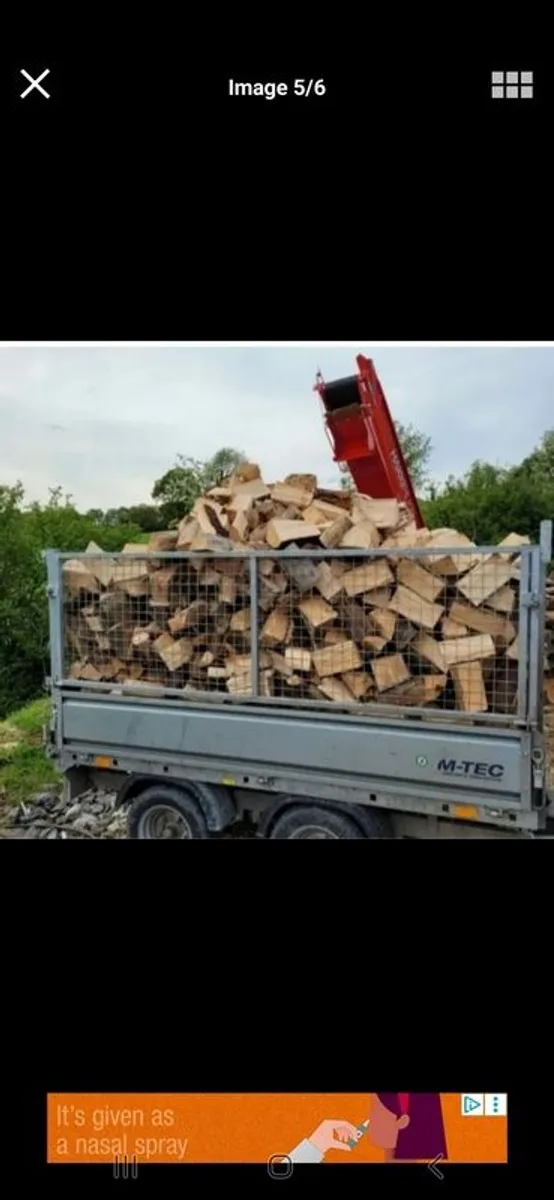 Firewood - Image 4