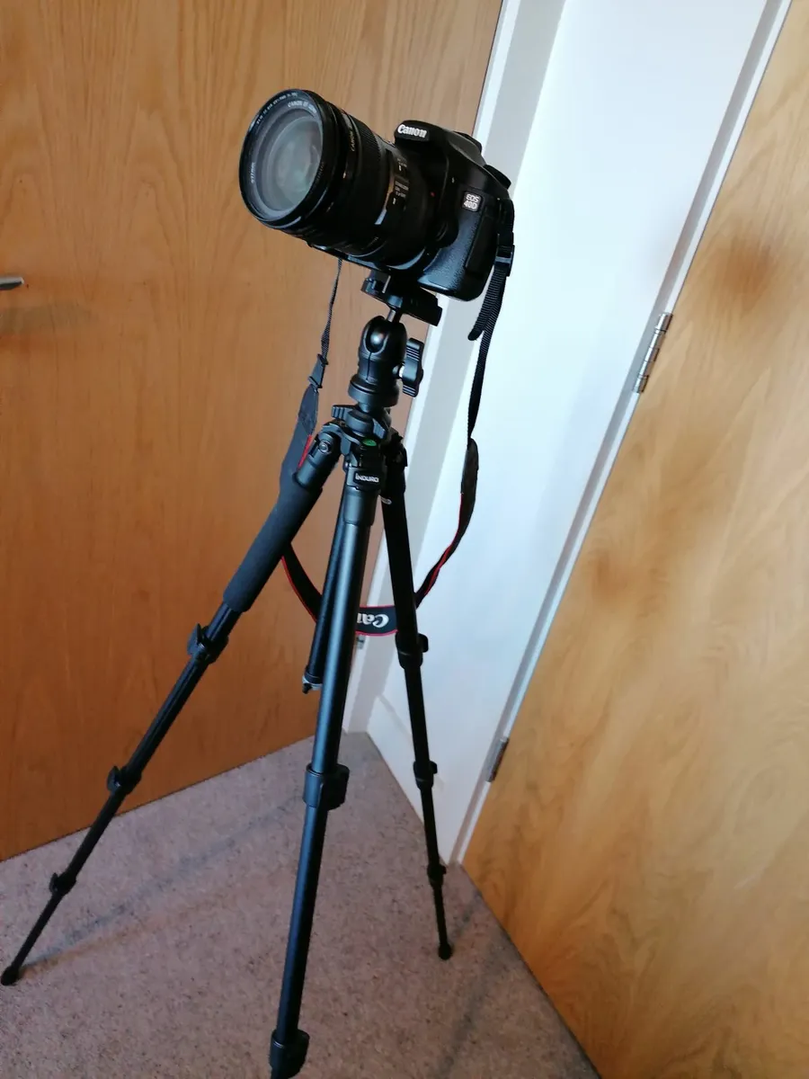 Canon EOS 40D + EF 24-105mm L Lens + Tripod + Bag - Image 4