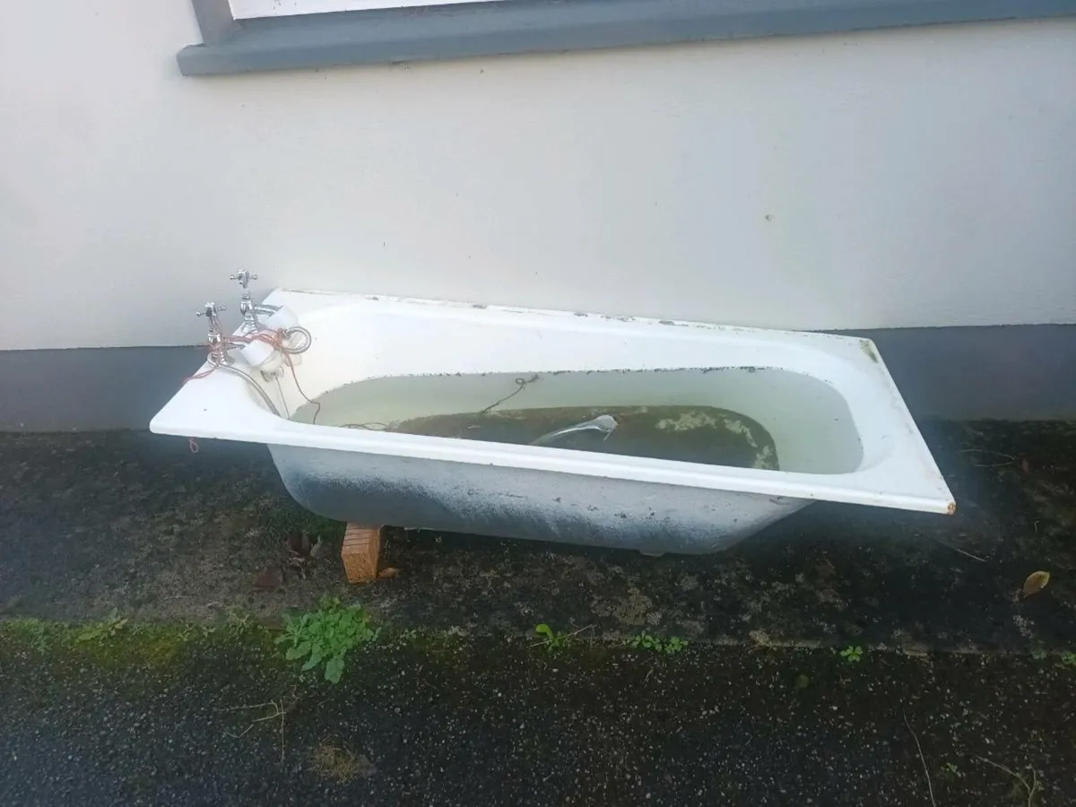 Cast iron bath - Image 1