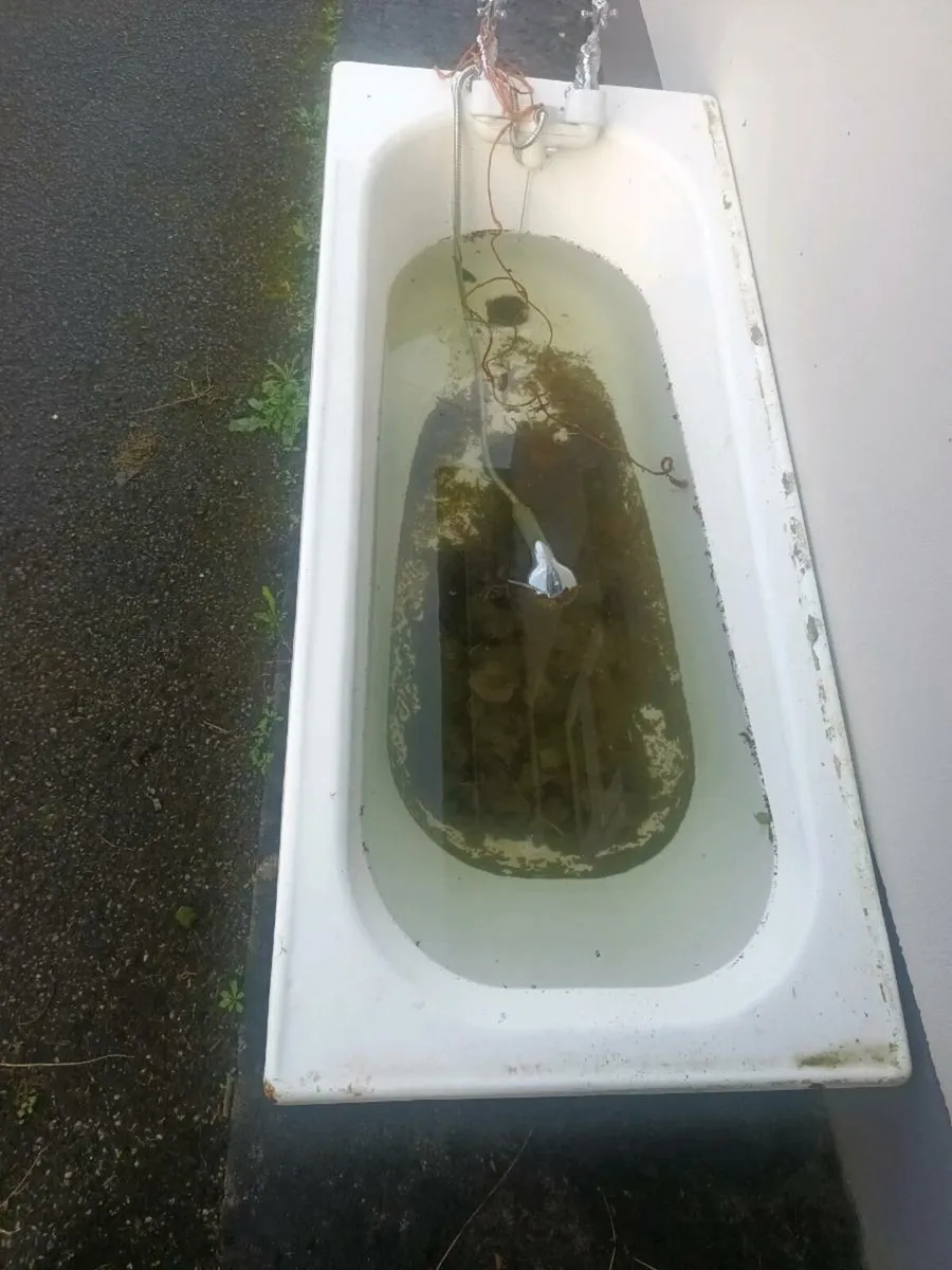 Cast iron bath - Image 2