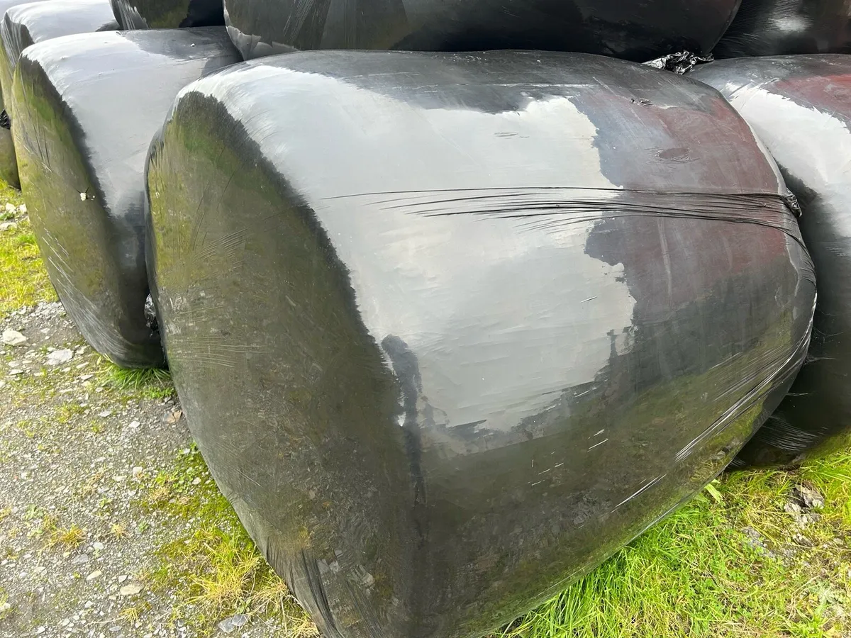 Silage bales(€850) - Image 1