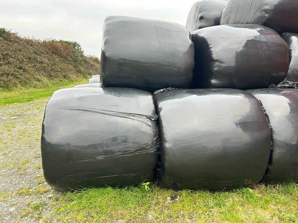 Silage bales(€850) - Image 2