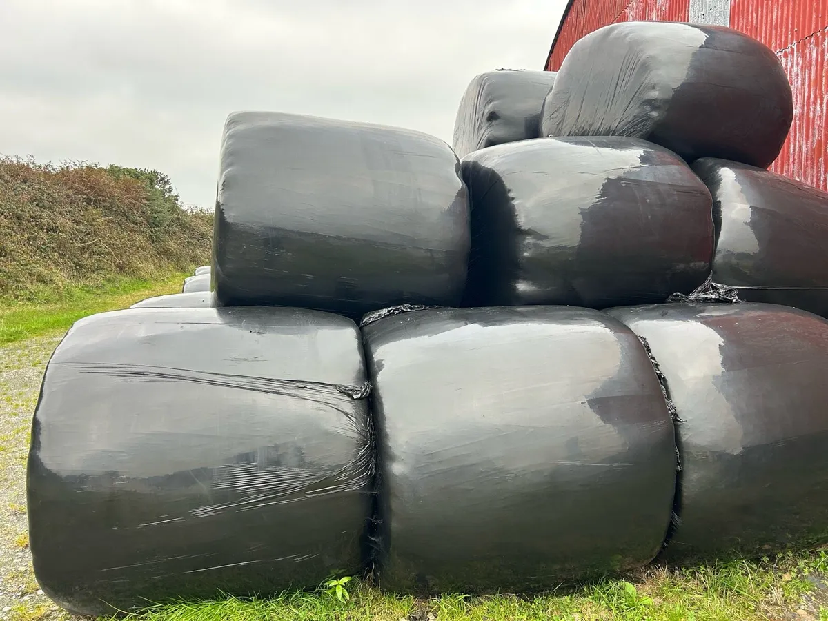 Silage bales(€850) - Image 3