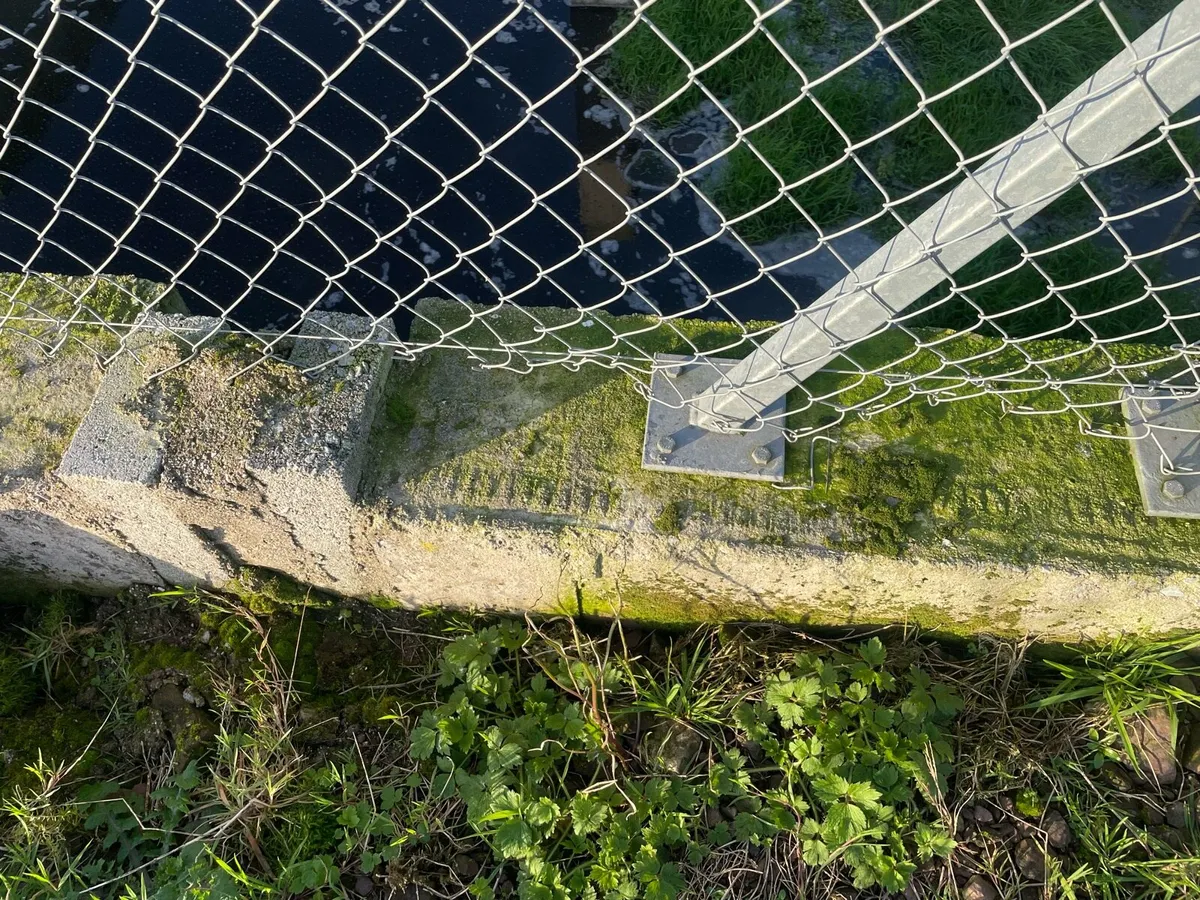 Chain link fencing - Image 4