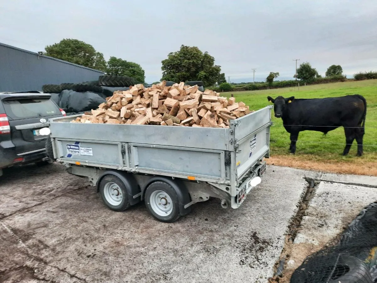 Hardwood firewood - Image 1