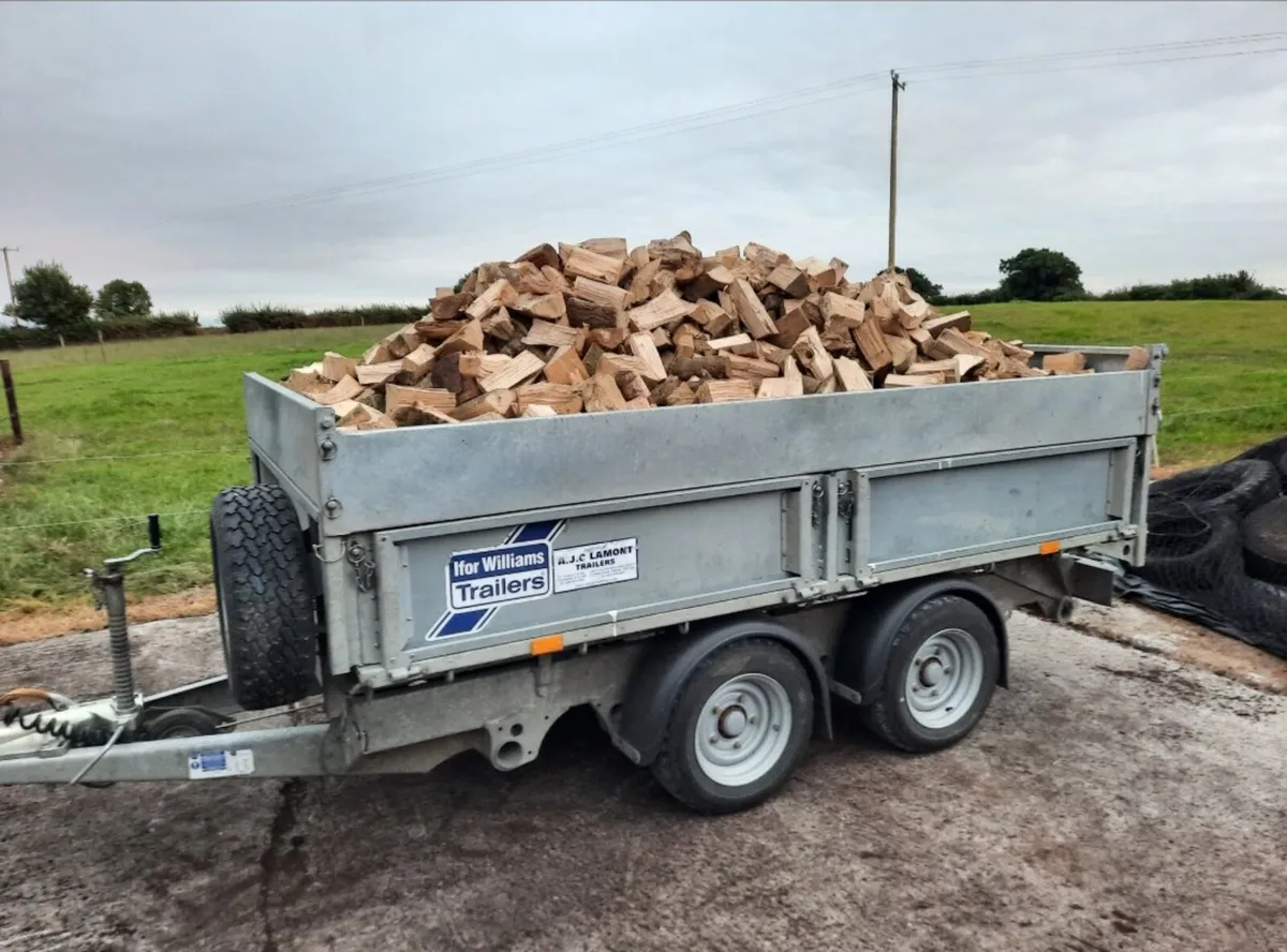 Hardwood firewood - Image 3