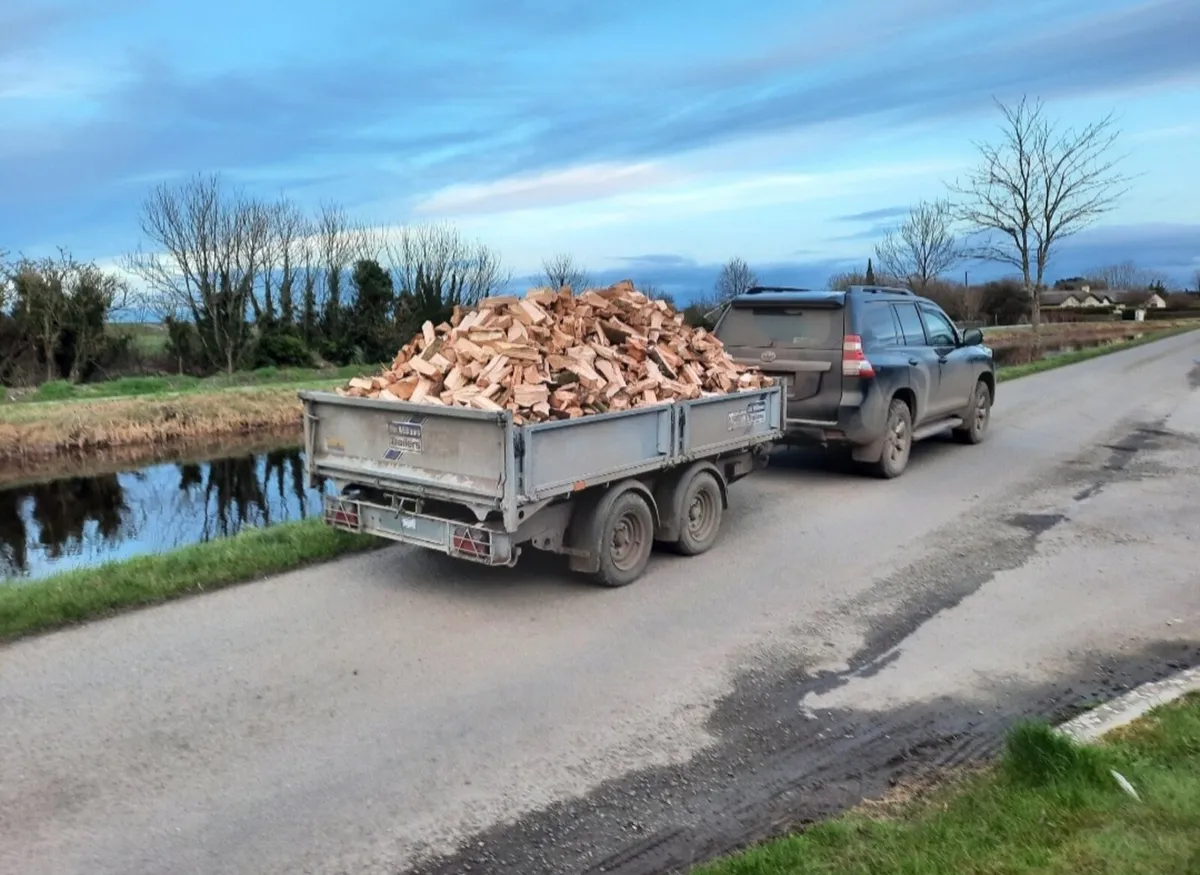 Hardwood. Firewood - Image 2