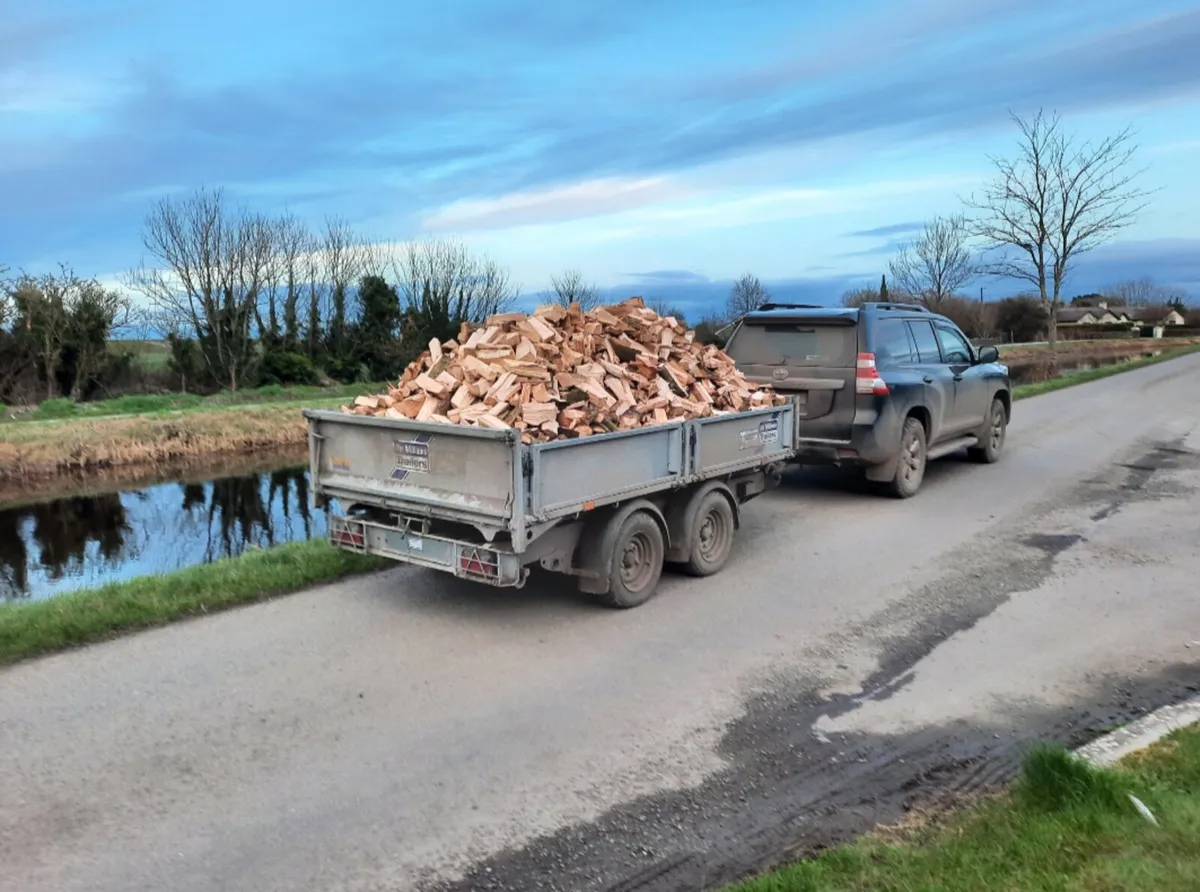 Hardwood. Firewood - Image 3