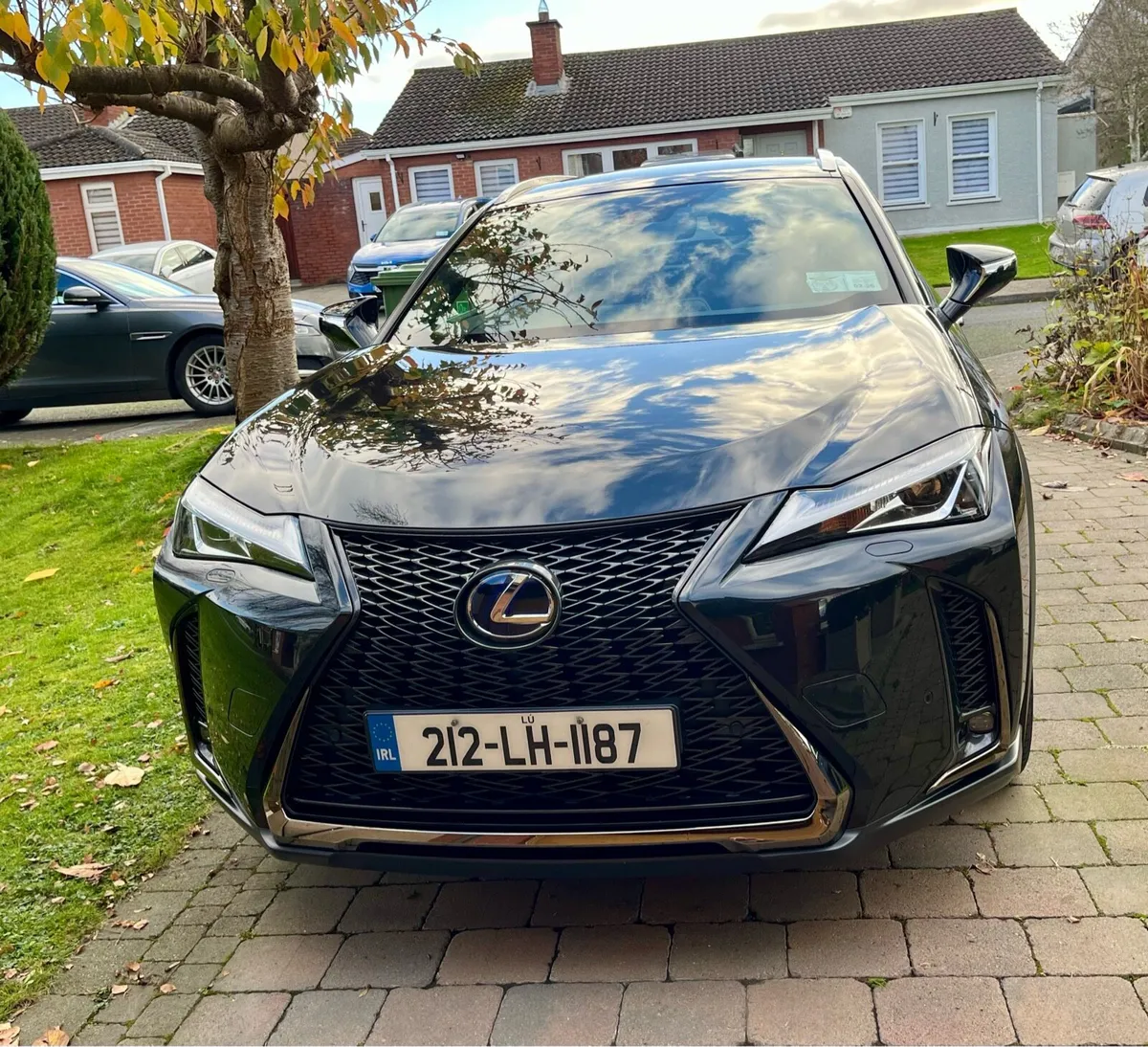 Lexus UX250 F Sport Hybrid Top Spec. - Image 1