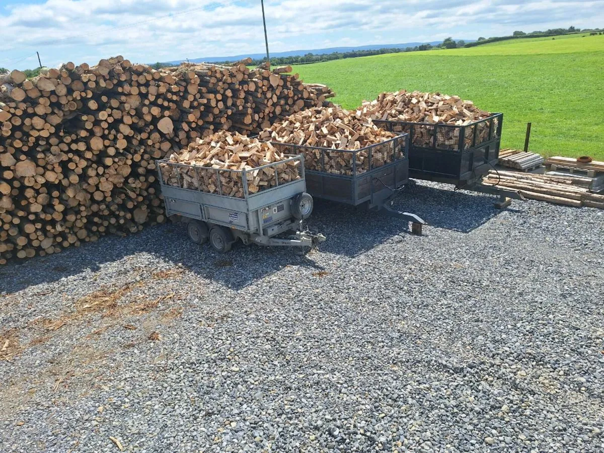 Hardwood firewood - Image 1