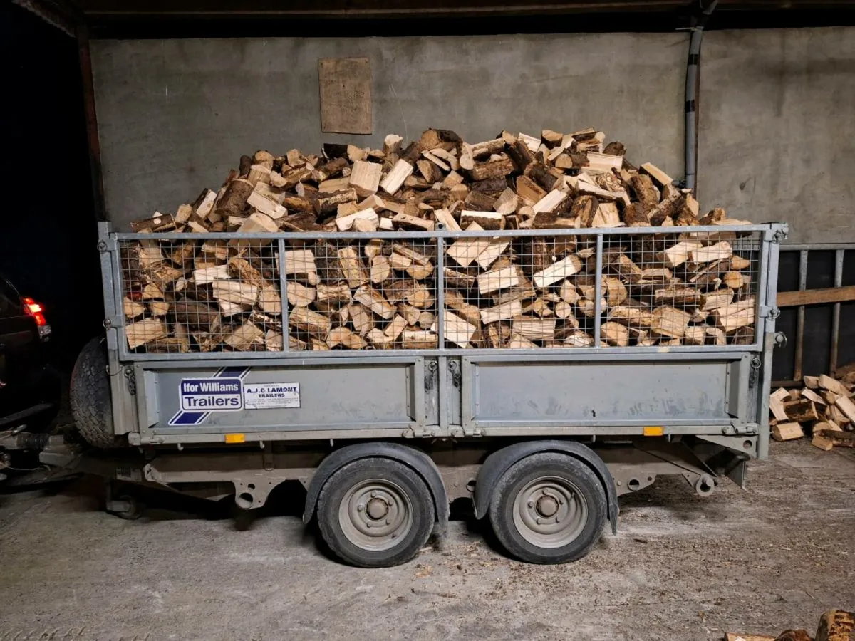 Softwood firewood - Image 2