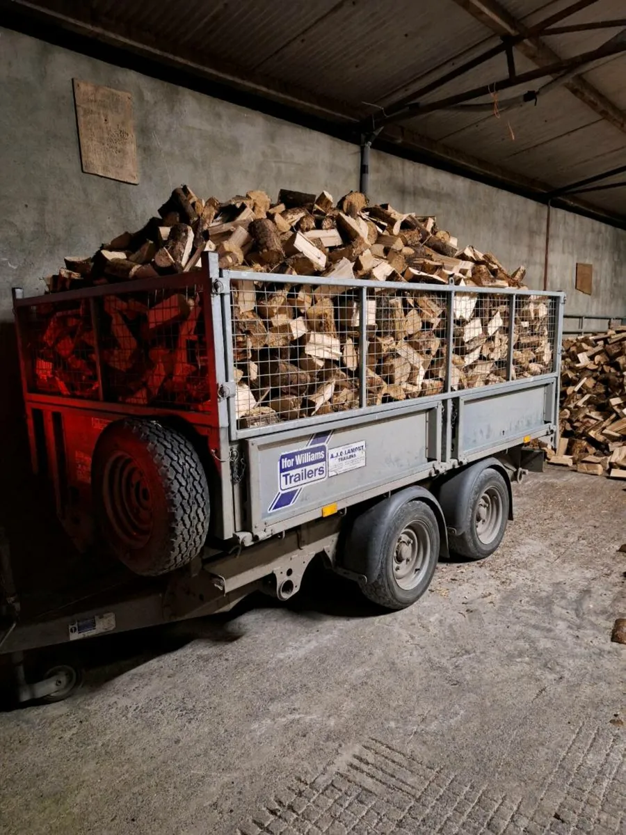 Softwood firewood - Image 3