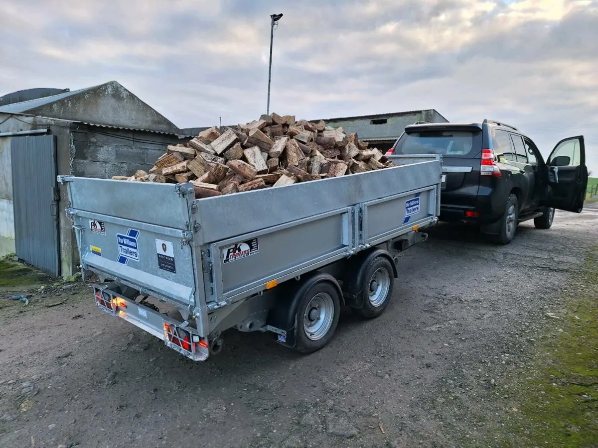 Softwood firewood - Image 4