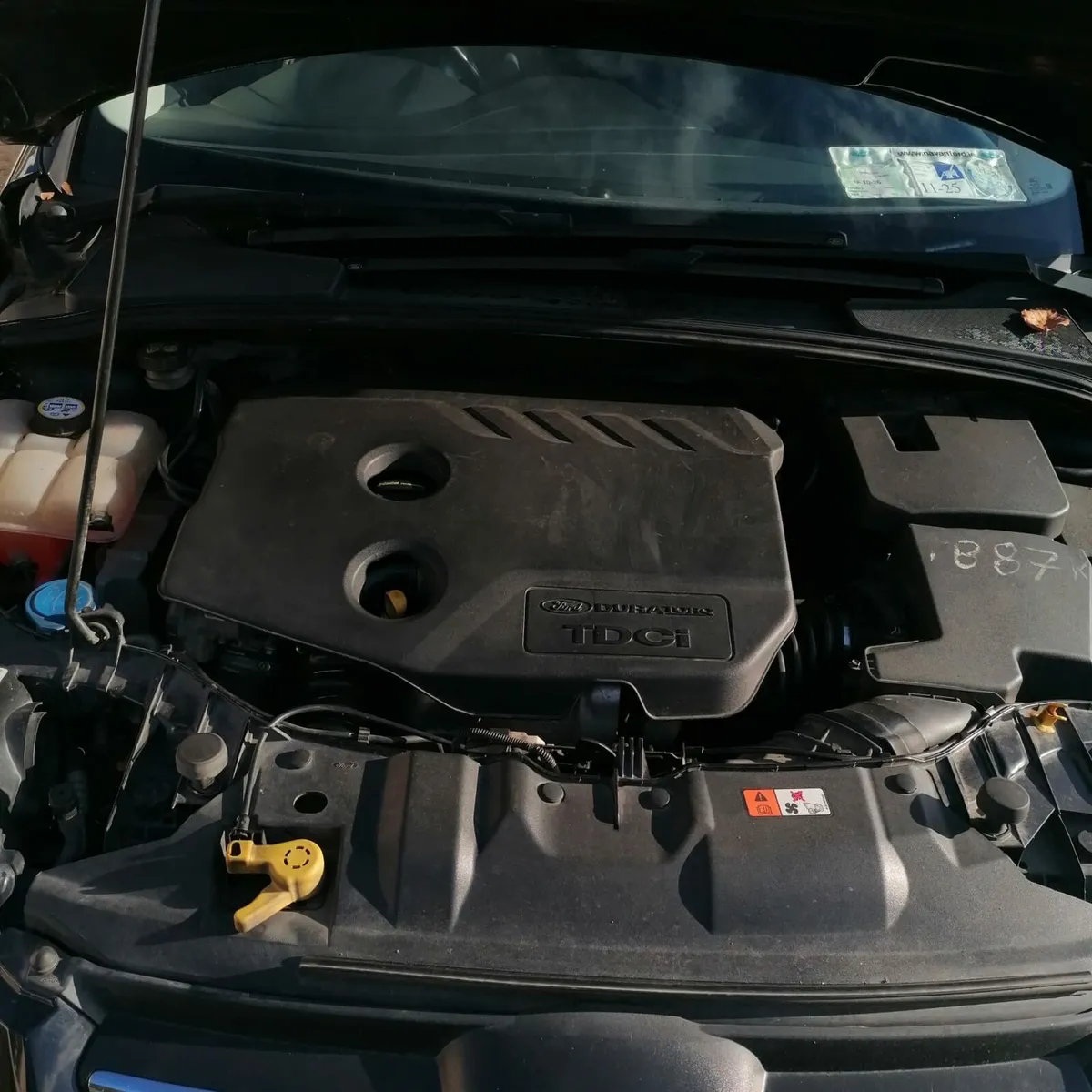 Ford focus - Image 4