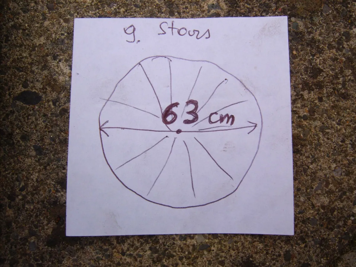 bicycle wheals - Image 3