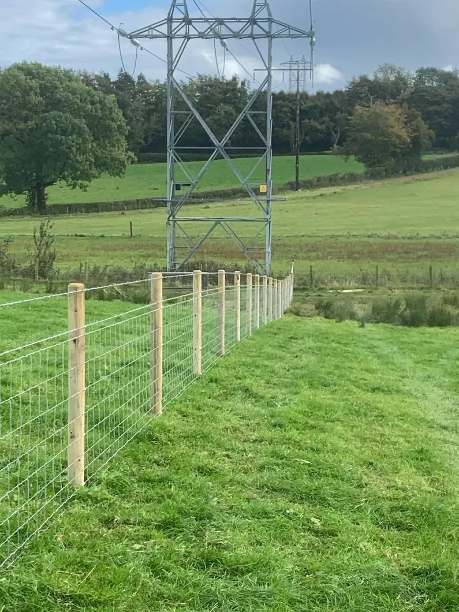 Agri Fencing Tyrone Fermanagh Surrounding areas - Image 1