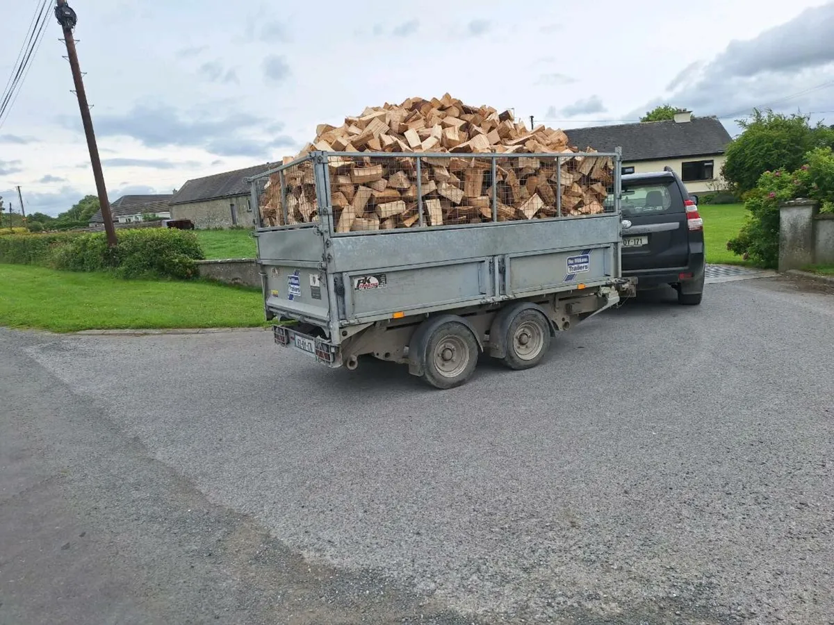 Softwood firewood - Image 1