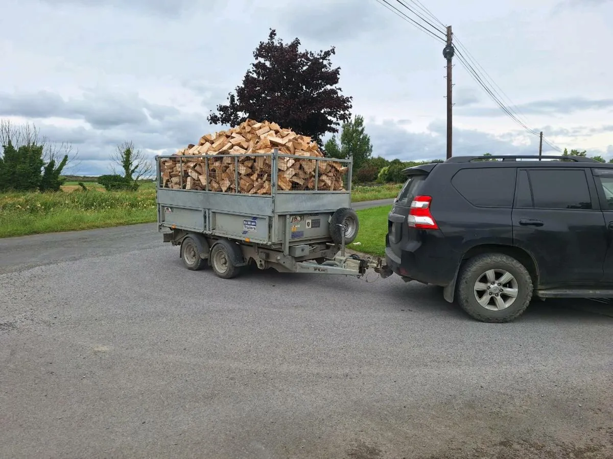 Softwood firewood - Image 2