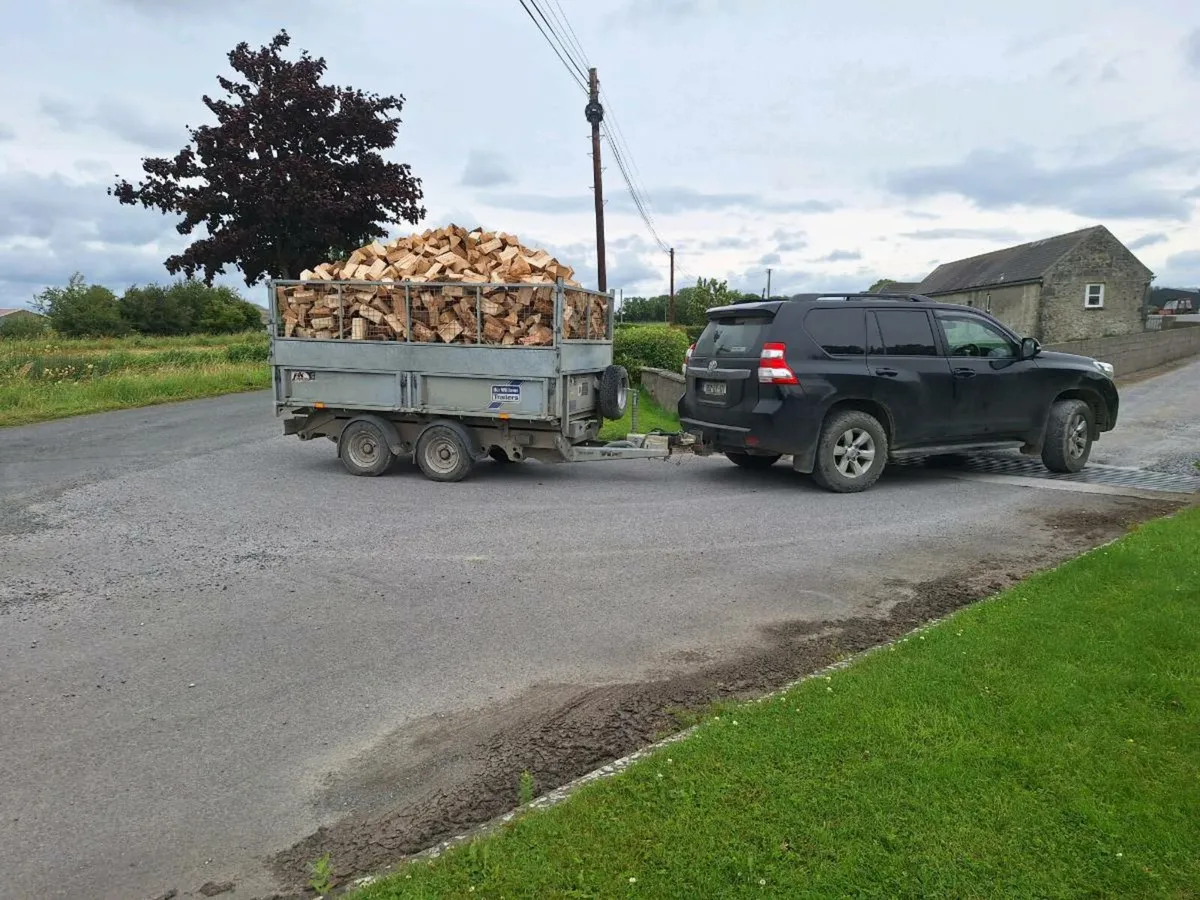 Softwood firewood - Image 3