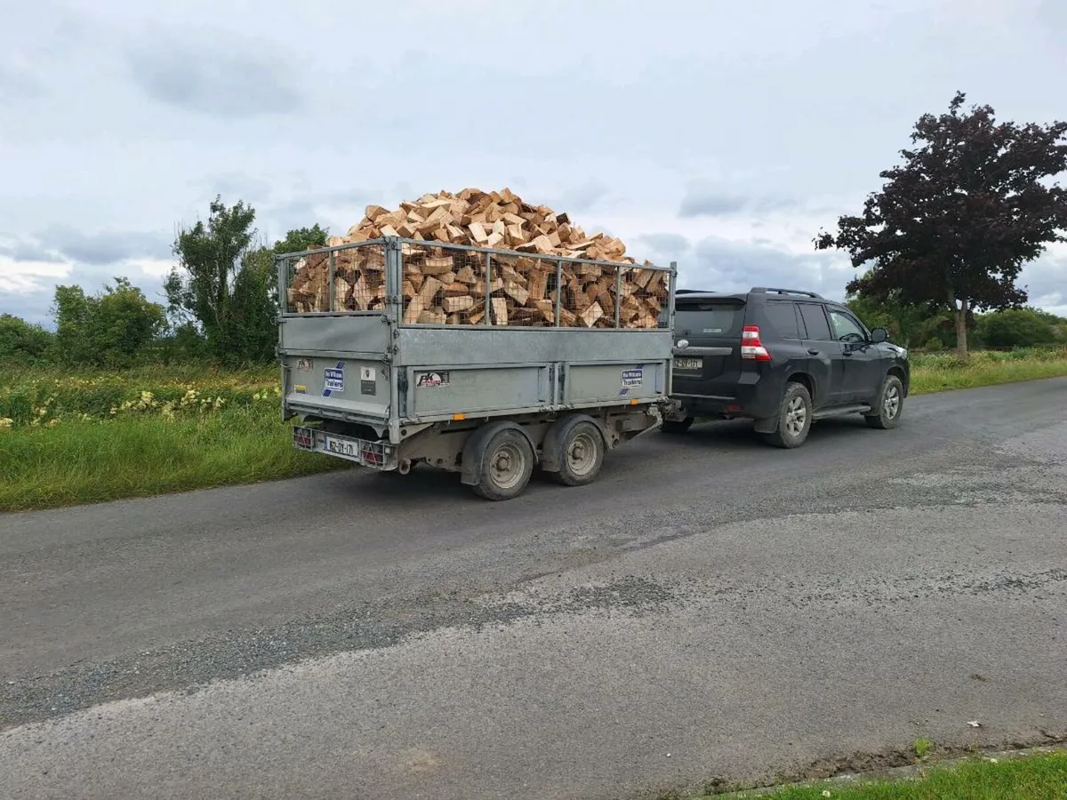 Softwood firewood - Image 4