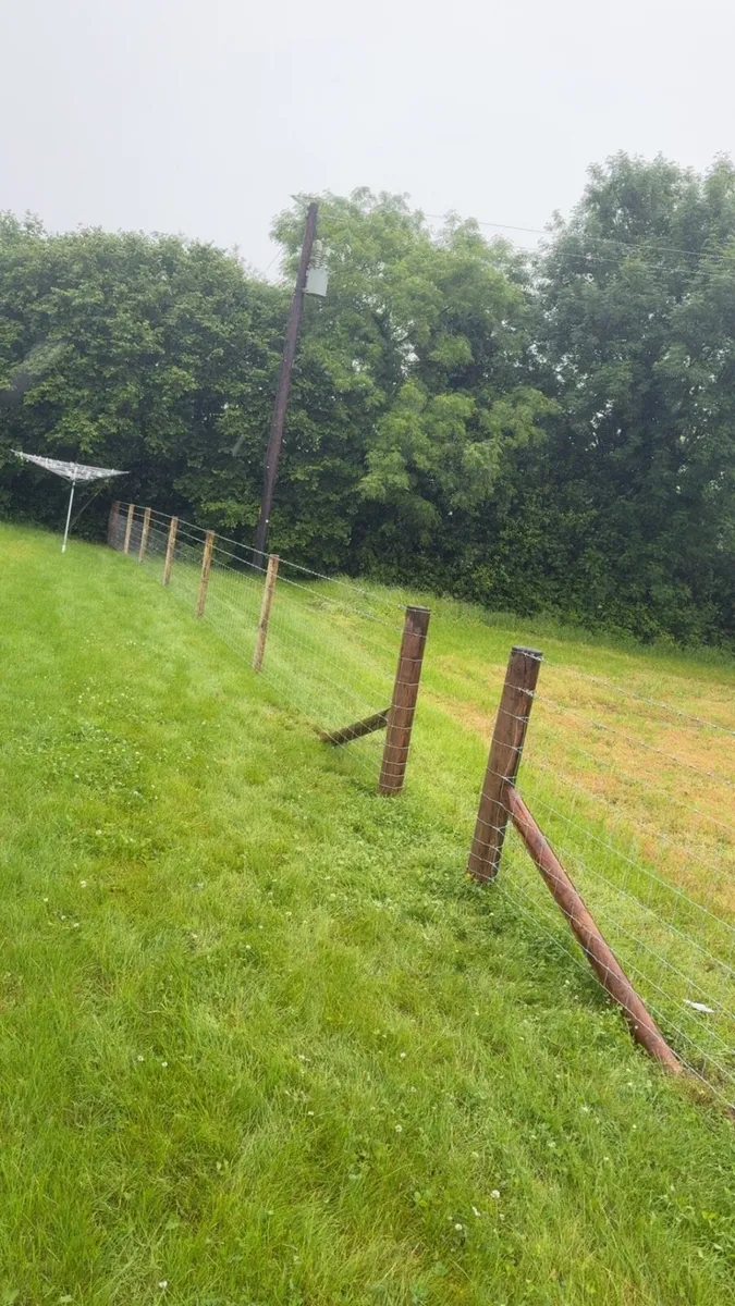 Fencing service - Image 3