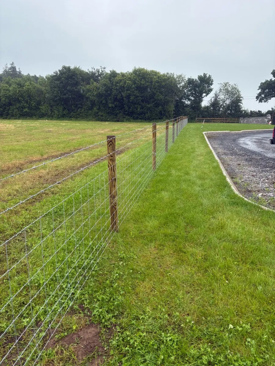 Fencing service - Image 4