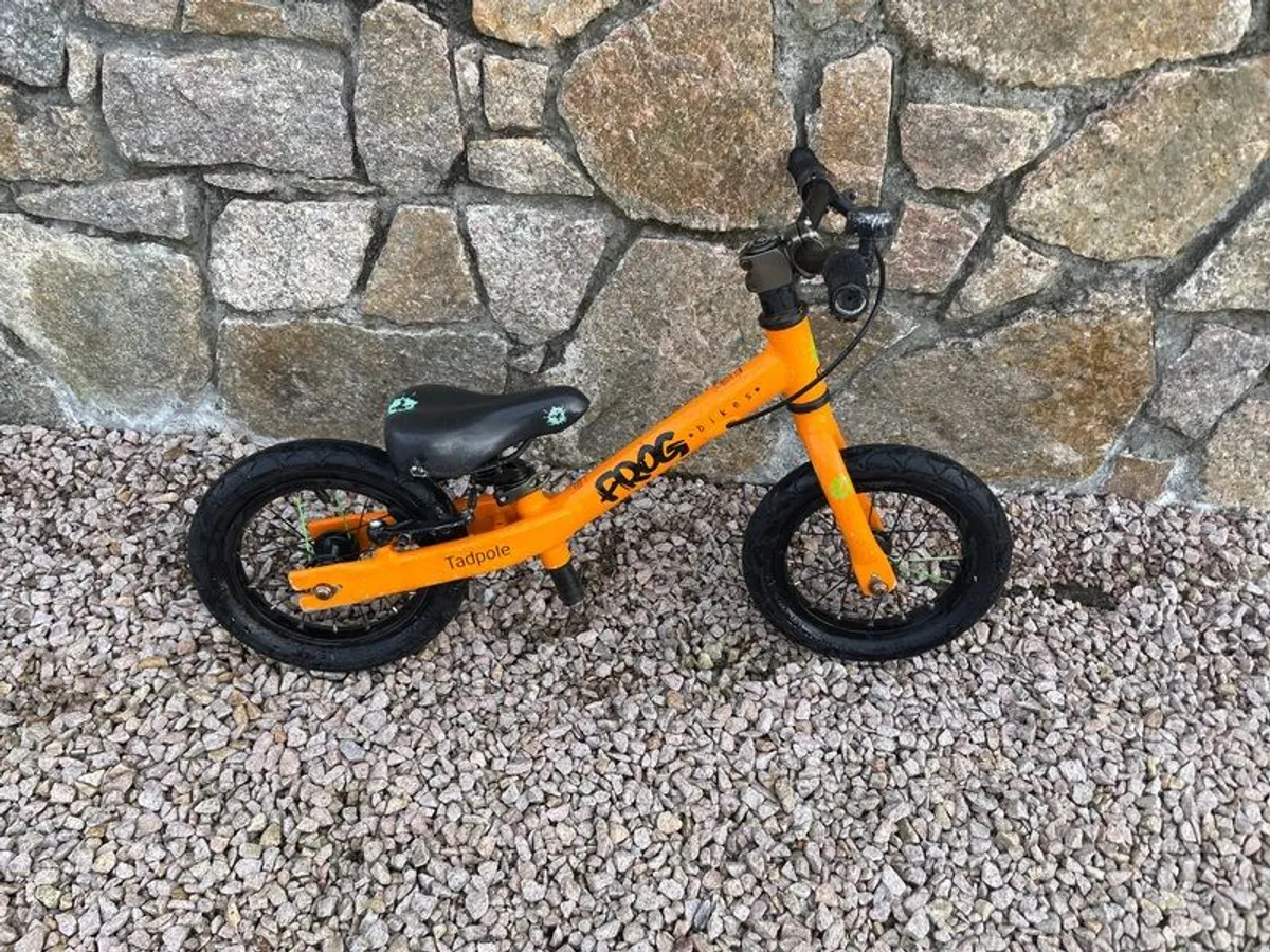 Tadpole Frog Bike - Image 1