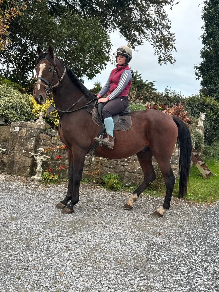 Happy hacker !! - Image 1