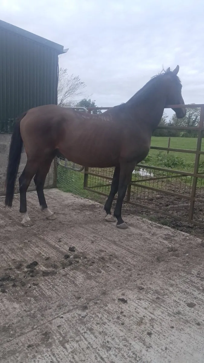 Happy hacker !! - Image 2