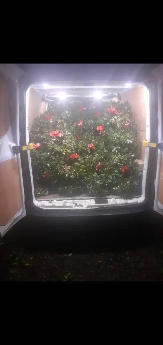 Holly wreaths - Image 1