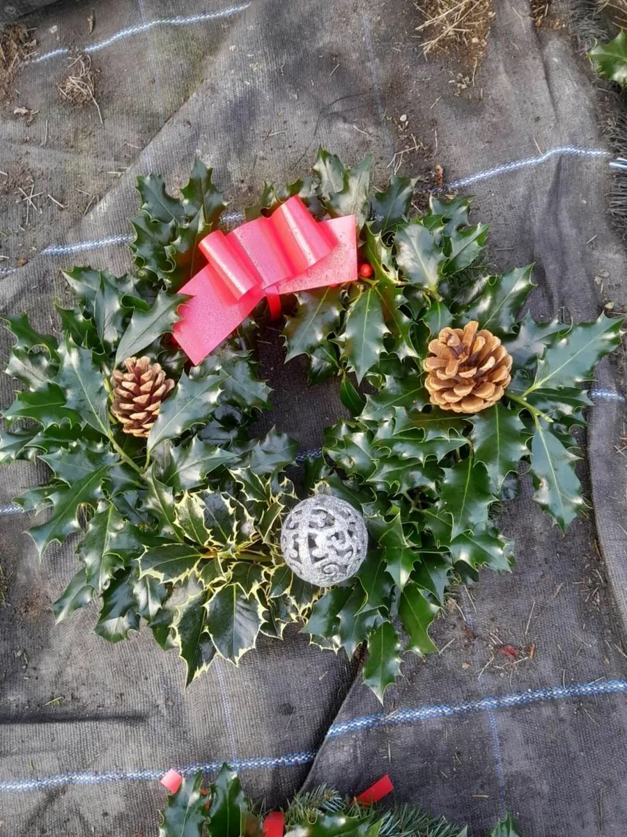 Holly wreaths - Image 3