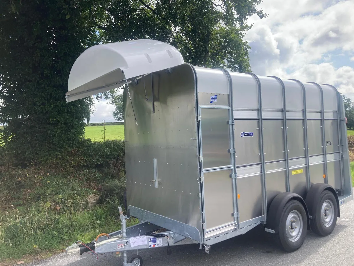 New Ifor Williams 12x7 High Horsebox Trailer - Image 2